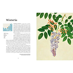 Прекрасно иллюстрированная книга более 100 ботанических произведений Plant Hunters Atlas варинант исполнения - 4 | Loft Concept в Казани