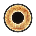 Бра круглое Gold Sun Lighting  варинант исполнения - 1 | Loft Concept в Казани