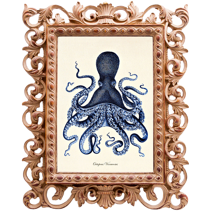 Постер Blue Octopus Poster Бежевый Морская синь в Казани | Loft Concept 