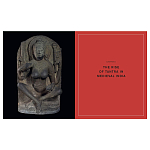 Книга Tantra: Enlightenment to Revolution варинант исполнения - 5 | Loft Concept в Казани