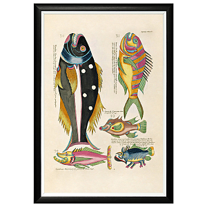 Постер в черной раме Fish Guide 4