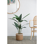 Декоративный искусственное растение Decor Stile  варинант исполнения - 5 | Loft Concept в Казани